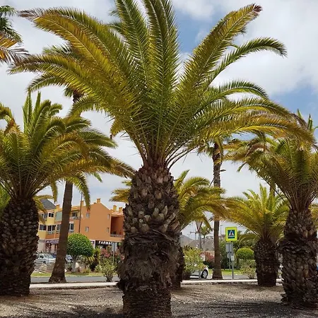 Διαμέρισμα Los Cristianos Valdes Center 3